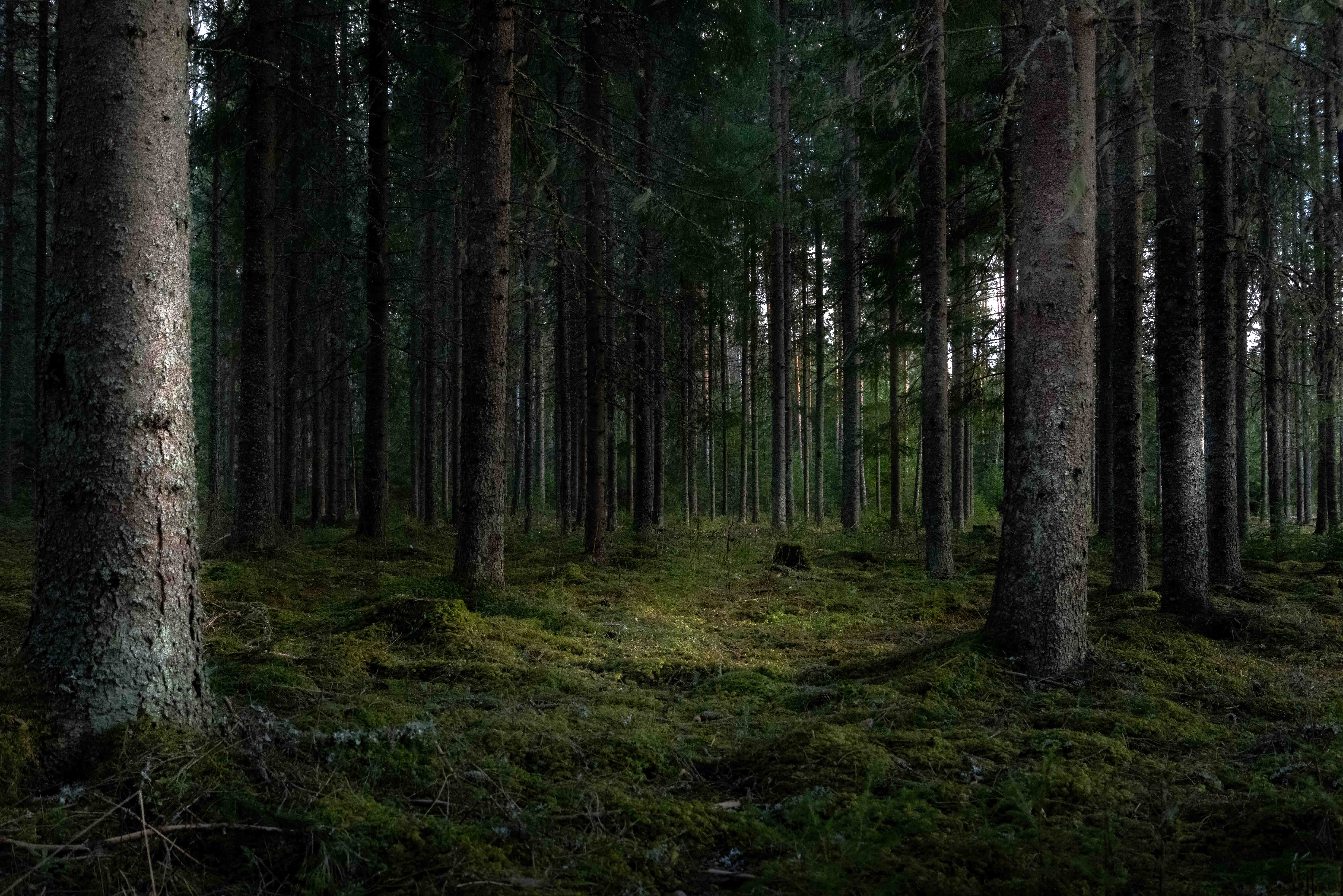 Slider Image: 